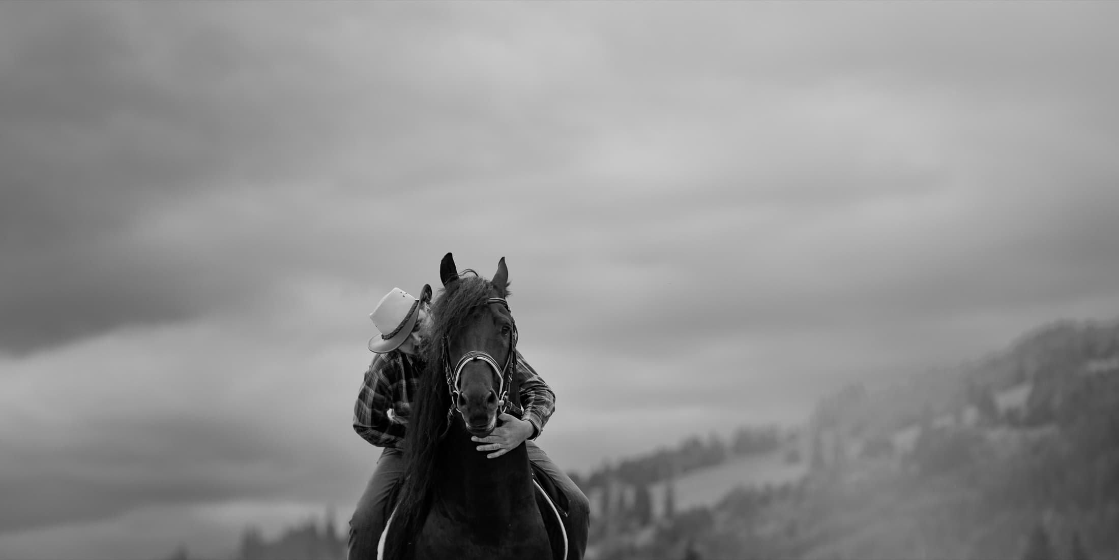 Cal într-o gospodărie din Țara Dornelor
