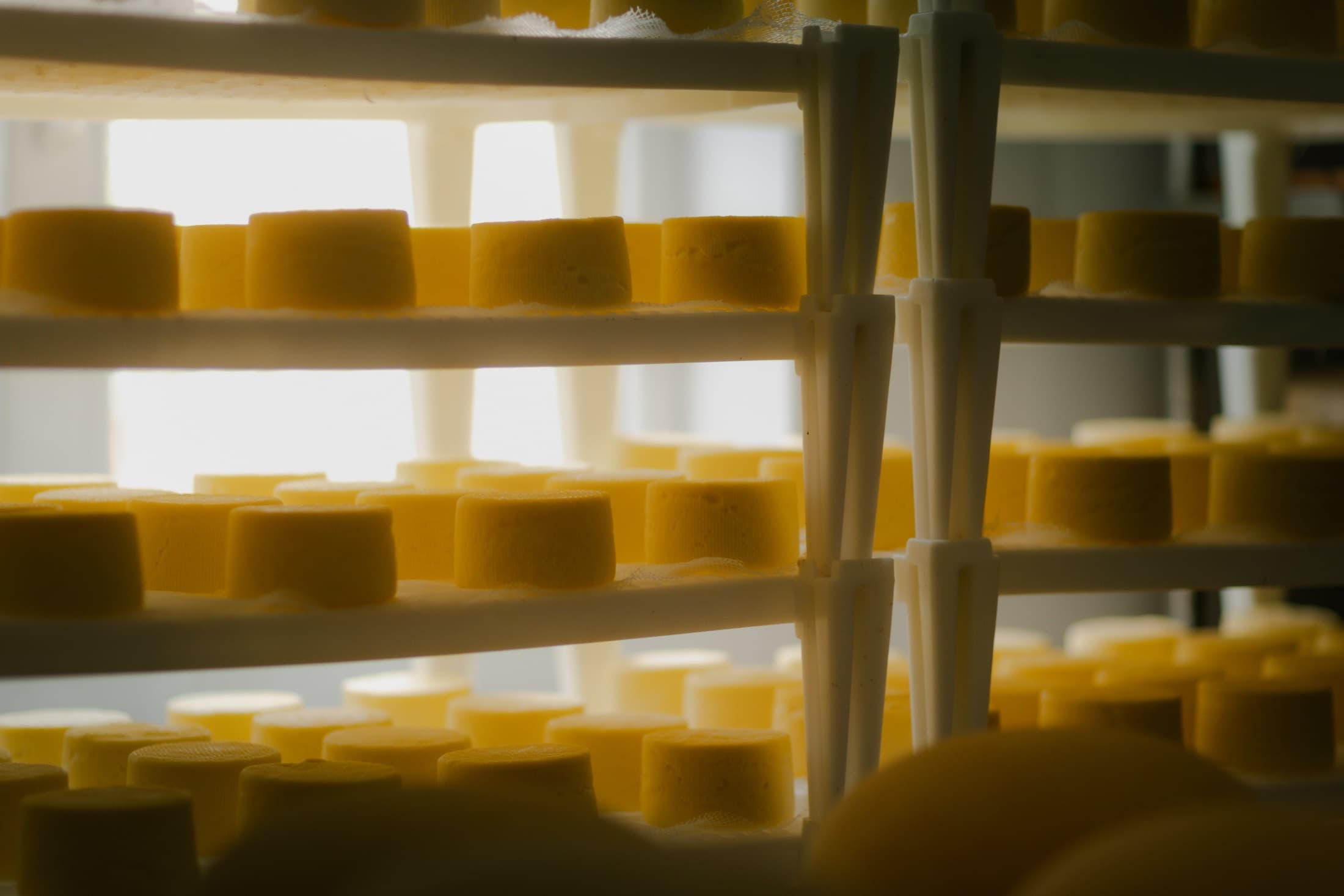 Roți de brânză produse și maturate local